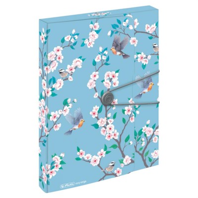 Herlitz kummiga kaaned A4 pl. 4cm  Ladylike Birds